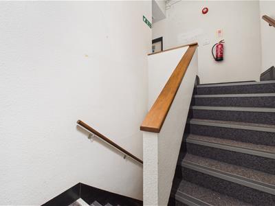 Picture 37